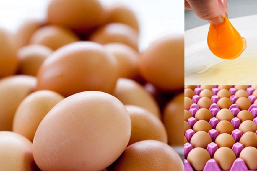 AE137 島原のたまご 黄味子Ｂセット(卵10個入×2パック,温泉たまご8個入×1パック)_イメージ3