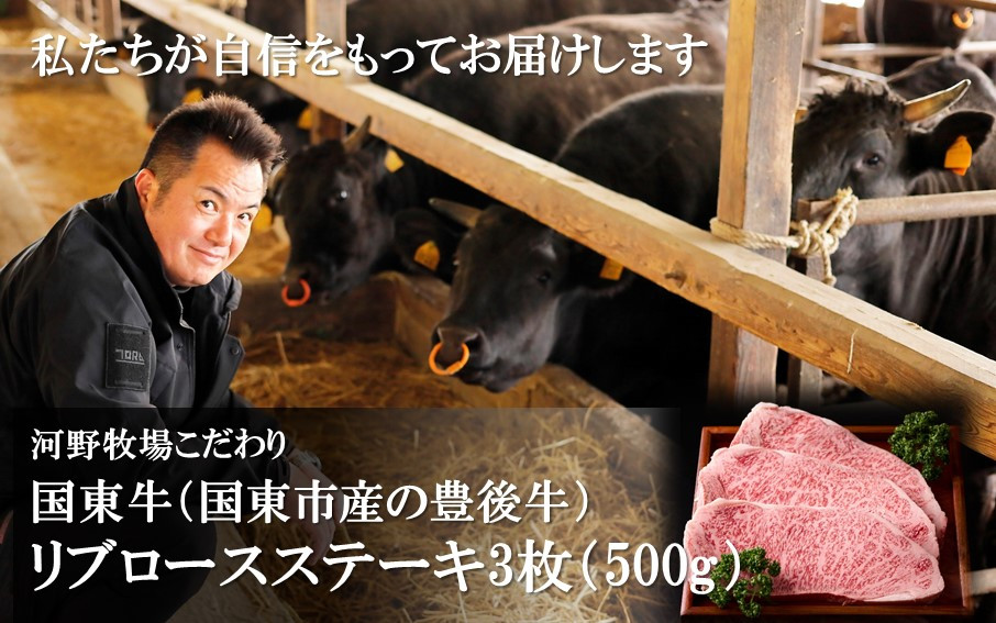 
国東牛（国東市産の豊後牛）リブロースステーキ3枚（計500g）_2214R
