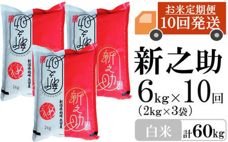 【令和8年産新米・10ヶ月定期便】新之助 白米 6kg（2kg×3袋）×10回（計 60kg）ヤタらうんめぇ しんのすけ 水田環境鑑定士在籍[Y0341]
