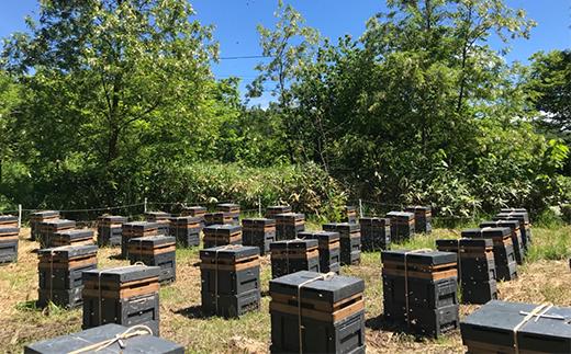 百花蜂蜜 約550g×2本 B-041