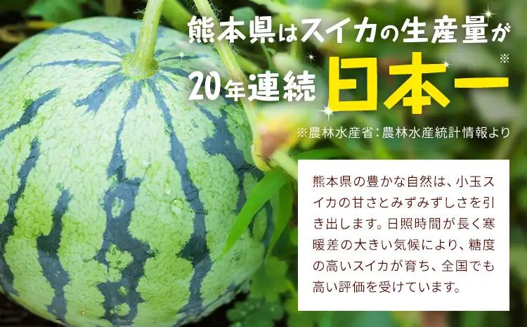【先行予約】小玉スイカ 2玉 約3㎏ 日本フルーツ株式会社 《4月中旬-7月下旬頃出荷》 こだますいか 西瓜 すいか フルーツ 果物 くだもの 旬 熊本県 菊池市 熊本県産 くまもと