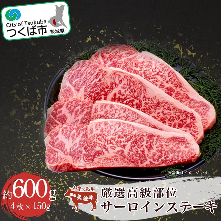 【ふるさと納税】厳選高級部位 サーロインステーキ 4枚入り 約600g 村下商事 | 茨城県 つくば市 牛肉 サーロイン 国産 ステーキ 焼き肉 BBQ 厳選 高級 高品質 おいしい ジューシー 茨城県 つくば市