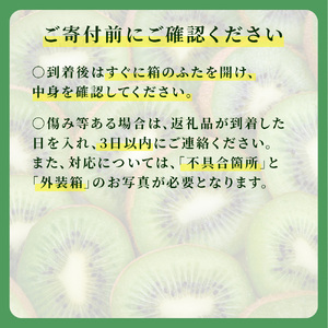 【1月前半発送分】国産キウイフルーツ 5kg 未追熟バラ詰め