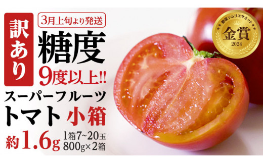 糖度9度以上 訳あり トマト 【 2025年収穫分 先行予約 】《訳あり》 スーパーフルーツトマト 小箱 約800g（7～20玉）×2箱 糖度9度以上 フルーツトマト トマト 2025年3月上旬発送開始 とまと 野菜 [BC043sa]