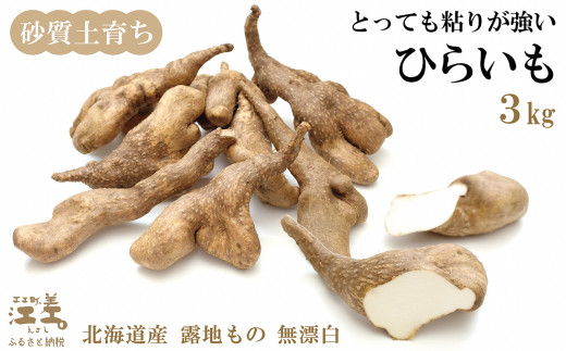 【収穫でき次第10月頃より順次出荷予定】北海道産 ひらいも  3kg　砂質土育ち とっても粘りが強い 北海道の山芋　もちもち食感　露地もの　無漂白　ねばり芋　やまと芋　長芋　自然薯　山かけ　とろろ　いももち　豚汁