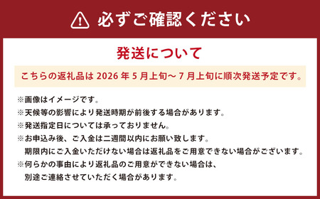 肥後グリーン メロン 2玉入 3L以上 (1玉あたり1.6kg以上)  【2025年5月上旬～7月上旬発送予定】