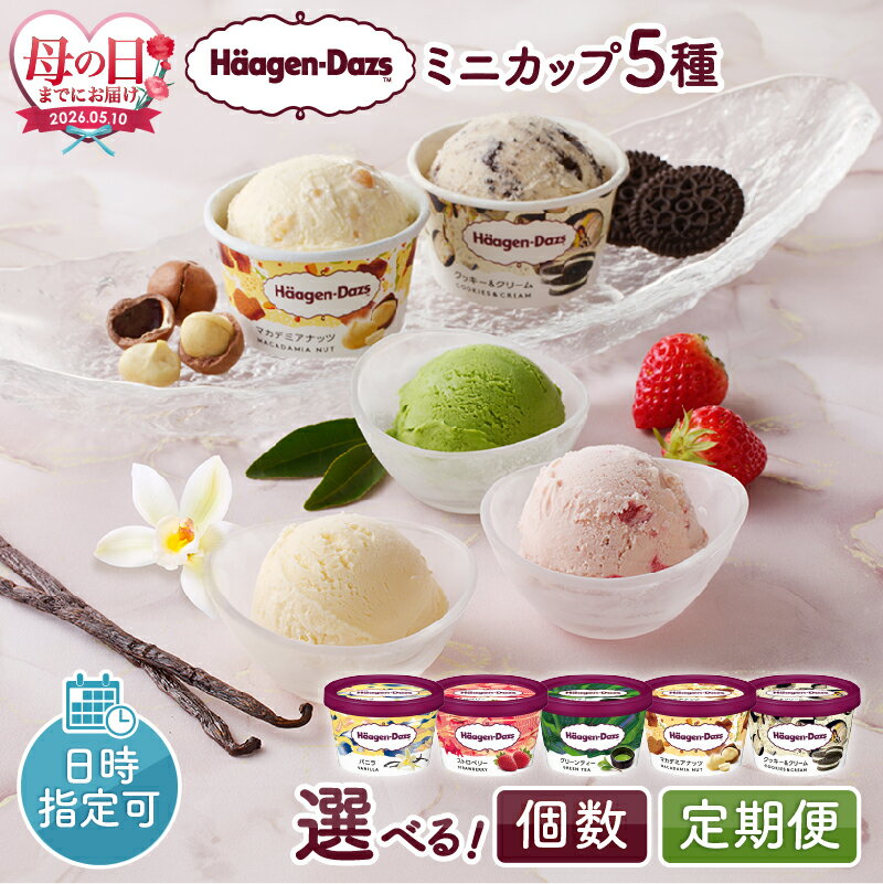 ハーゲンダッツセット