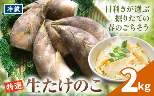 ズドンと太い姿はしっかり成長した証拠です。