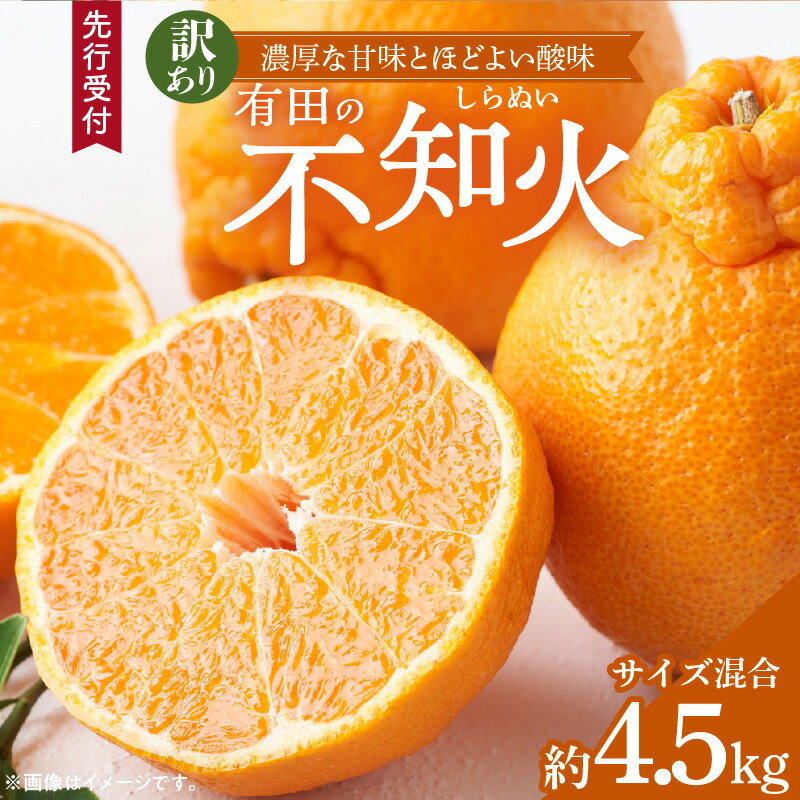 【ふるさと納税】2026年 先行予約 訳あり 有田 不知火 4.5kg サイズ混合 濃厚 甘み ほどよい 酸味 バランス 絶妙 デコポン 清見 ポンカン 柑橘 ぷりぷり 果肉 ジューシー 果汁 春柑橘 家庭用 みかん 果物 果実 デザート お取り寄せ 和歌山県 湯浅町 送料無料