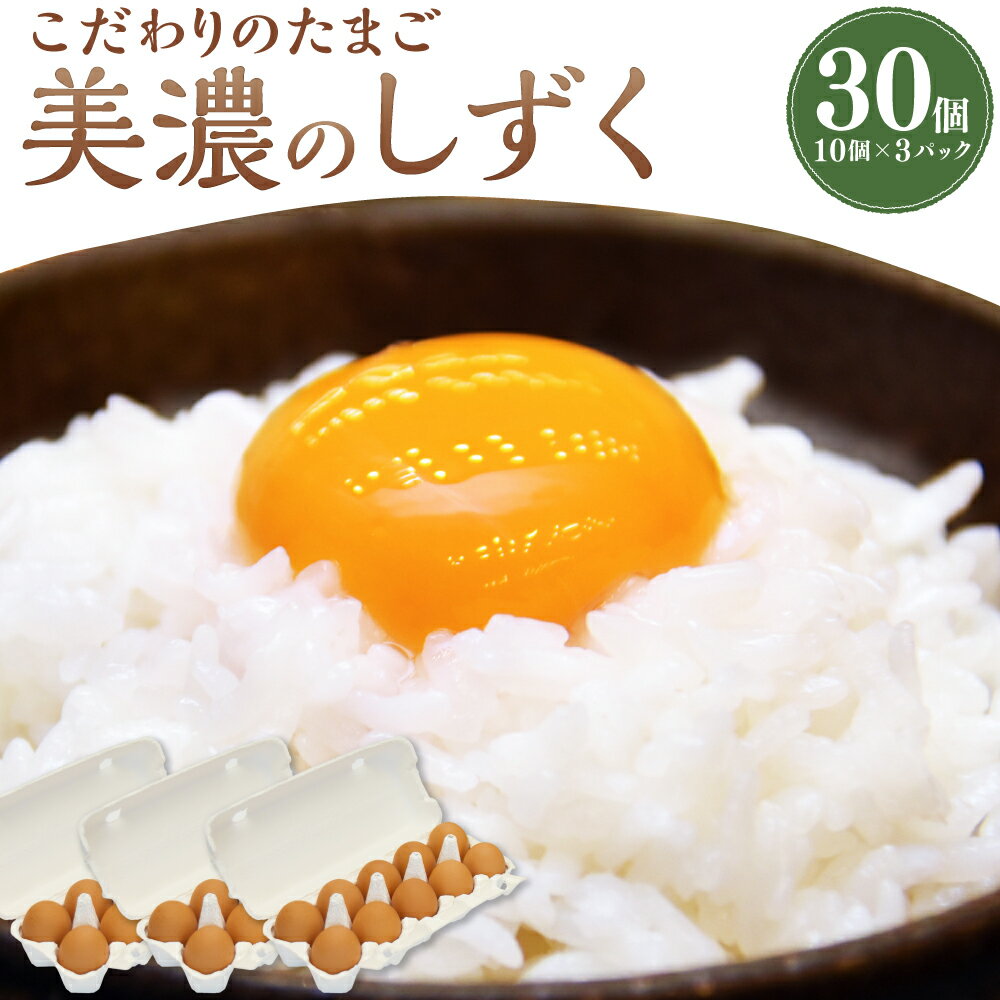 【ふるさと納税】こだわり の たまご 【 美濃のしずく 】 30個 セット | 丸ト鶏卵販売 鶏卵 卵 こだわり 赤たまご 岐阜県 美濃加茂市 送料無料 M12S109