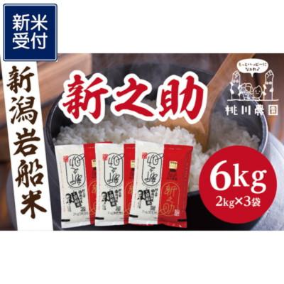 ふるさと納税 村上市 【新米受付・令和8年産米】新潟県村上市産　新之助6kg NA4100