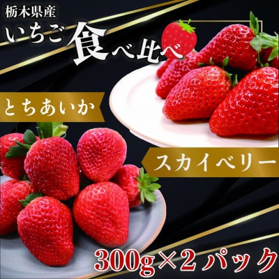 【2025年1月上旬より発送】とちあいか×スカイベリー　約300g×各1パック【配送不可地域：離島】【1383707】