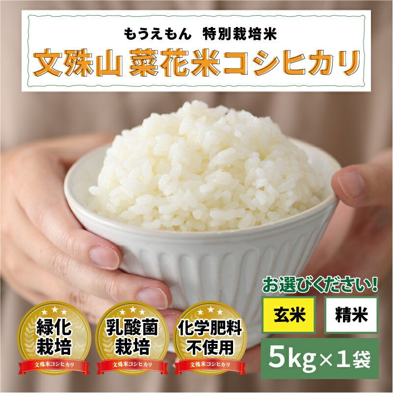 【ふるさと納税】【令和7年産】文殊山 菜花米コシヒカリ　5kg（5kg × 1袋）真空パック [C-08207] / 真空パック 白米 玄米 特別栽培米 乳酸菌栽培 コシヒカリ米 お米
