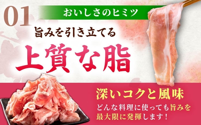 肥前さくらポーク 切り落とし 500g × 10パック 計 5kg | 豚肉 肥前さくらポーク 切り落とし 国産 小分け 大容量
