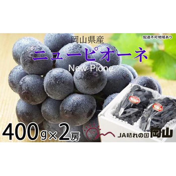 【ふるさと納税】ぶどう 2026年 ニュー ピオーネ 約400g×2房 ブドウ 葡萄 岡山県産 国産 フルーツ 果物 ギフト | フルーツ 果物 くだもの 食品 人気 おすすめ 送料無料