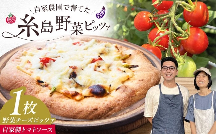 
            【 糸島野菜 × 天然酵母 】 農園 手づくり 野菜 チーズ 全粒粉ピッツァ 自家製トマトソース 1枚 糸島市 / わかまつ農園 [AHB056] ピザ 手作り
          