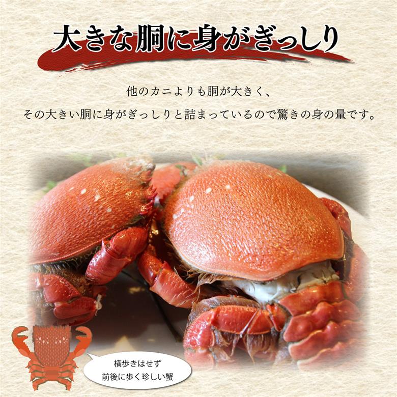 HRAGT-1 宮崎県串間産アサヒガニ 特大サイズ(計約1kg・2~3匹)【合同会社Houryoumaru】