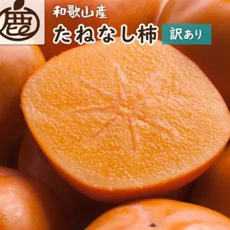 家庭用 たねなし柿10kg【訳あり】【刀根早生・平核無柿(ひらたねなしかき)】【1667411】