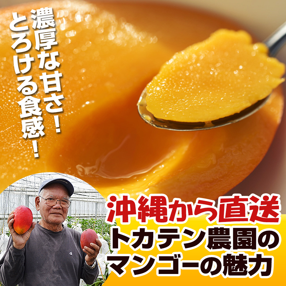 【2025年発送】濃厚な甘さの沖縄県産マンゴー2kg（家庭用）_イメージ4