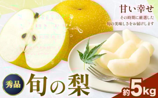 先行予約 おまかせ梨 秀品 約5kg 日本フルーツ株式会社《8月上旬-10月上旬頃出荷》熊本県 荒尾市 なし 梨 果物 フルーツ デザート ギフト ご贈答