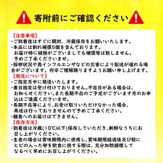 【1月発送】媛っ娘 みかんたまご 40個 (10個×4パック) ※割れ補償5個