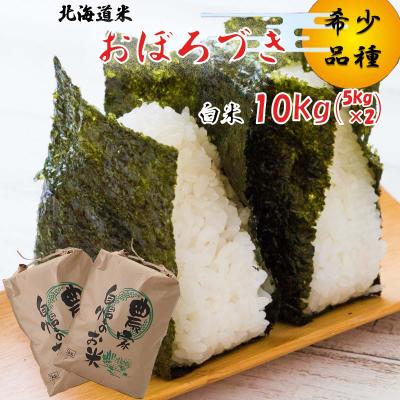 ふるさと納税 新ひだか町 令和7年度産 北海道米 おぼろづき 白米 10kg (5kg×2)