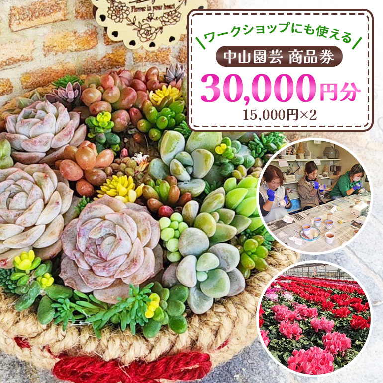 中山園芸 商品券30,000円分（15,000円分×2枚） 商品券 30000円 3万円 ワークショップ 植物 園芸 関連商品 初心者 お子様 大人 歓迎 モルタルデコ 多肉植物 寄せ植え ギフト プレゼント 茨城県 那珂市 A07-026