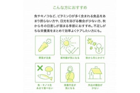 【6ヶ月定期便】【Lypo-C】リポ カプセル ビタミンC＋D（30包入） 1箱