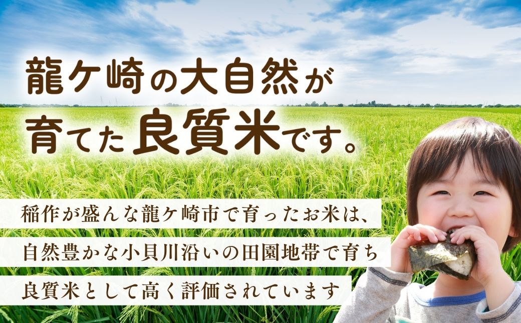 ＜3ヵ月定期便＞【令和7年産】お米マイスターセレクト茨城産コシヒカリ(精米10kg) | お米 ごはん 米 白米 ご飯 コシヒカリ お米マイスター 厳選米 人気 茨城県産 龍ヶ崎市産 農家直送 産地直