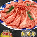 【ふるさと納税】 阿波牛 ロース すき焼き 500g 国産 霜降り ロース 黒毛和牛 和牛ブランド 肉 にく ぎゅうにく ビーフ しゃぶしゃぶ すき焼き すきやき 焼肉 BBQ アウトドア キャンプ ギフト プレゼント 贈答 お取り寄せ 人気 おすすめ 高級 グルメ 冷凍 送料無料