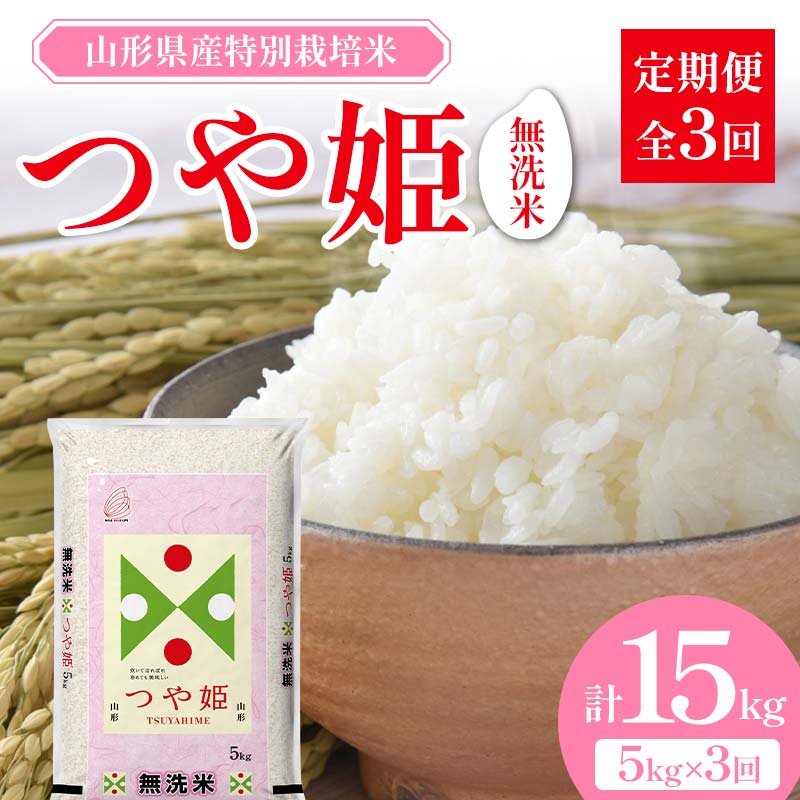 【ふるさと納税】 山形県産 特別栽培米 無洗米 つや姫 5kg （BG無洗米） 全3回定期便 F2Y-3917