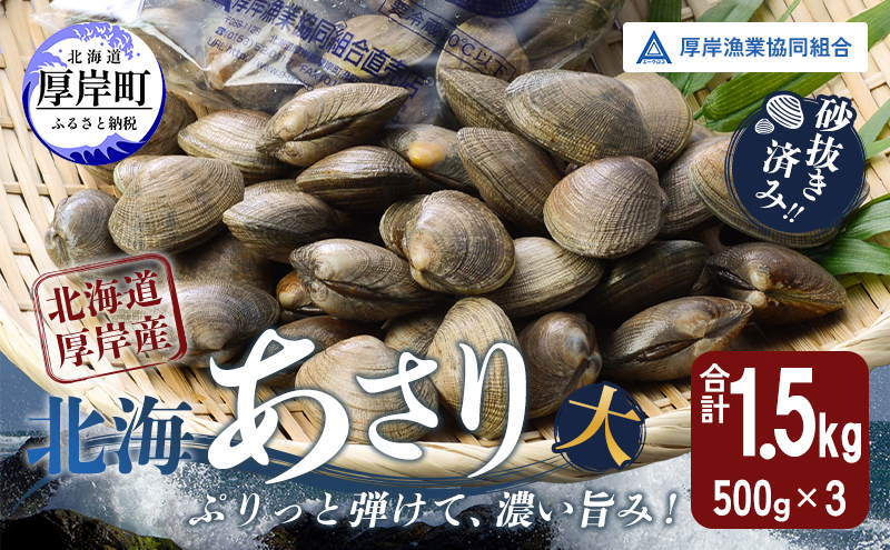 あさり【4月～6月発送】北海道 厚岸町産 天然 殻あさり(大)  500g×3　【厚岸漁業協同組合】[ アサリ 貝 味噌汁 酒蒸し 混ぜご飯 ] 
