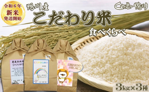 《令和６年新米》【くわっせ～鴨川】鴨川産 『こだわり米』食べくらべセット《精米》 ３kg×３品種　[0020-0089]