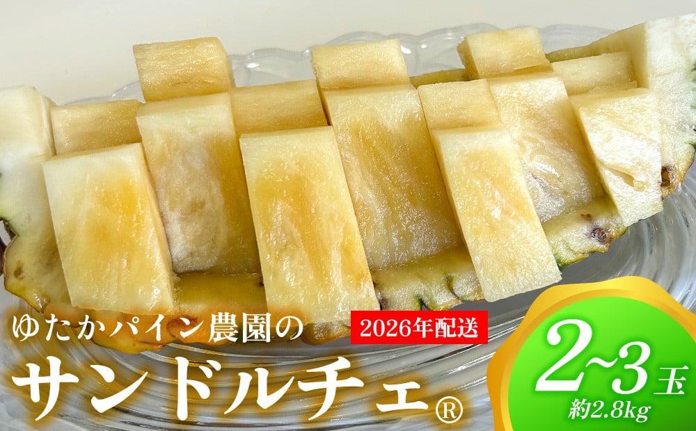 
                  ゆたかパイン農園のサンドルチェ 2～3玉（約2.8kg） 2026年発送 沖縄県産 東村 パイナップル ジューシー 希少 高級フルーツ 南国フルーツ 国産フルーツ 農家直送 パイン 果物 贈り物 おすすめ お土産 人気 やんばる 大自然 南国気分 沖縄本島北部
                