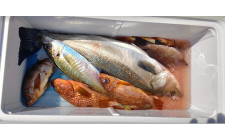 元魚屋の船長がご案内！ 船釣り体験チケット（7,000円分利用券）