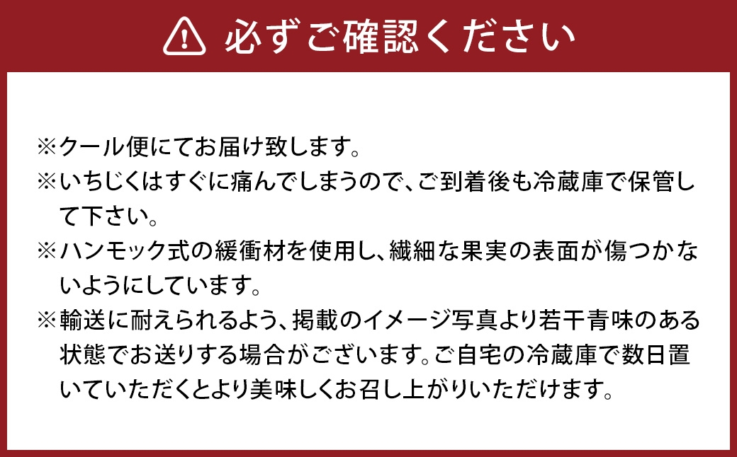皮ごと食べれる！とよみつひめ 850g前後