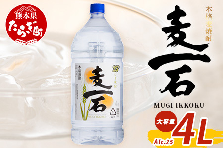 【 年内お届け 】メガボトル！ 純 麦焼酎【麦一石】4L エコペット 25度 【2024年12月18日～28日発送】 焼酎 蔵元直送 4リットル パーティサイズ 麦 酒 麦麹 焼酎 大容量 熊本 球磨 焼酎 多良木町 040-0586-R612