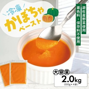冷凍かぼちゃペースト2.0kg(500g×4袋) 山形県遊佐産 冷凍便 ※離島発送不可 冷凍 かぼちゃ カボチャ 南瓜 野菜 野菜ペースト 離乳食 介護食 お菓子作り 小分け ゆざ食彩工房 遊佐町 庄内 東北 [1437KB2000G]