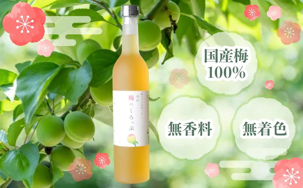 梅 シロップ 国産 梅のしろっぷ 2本セット