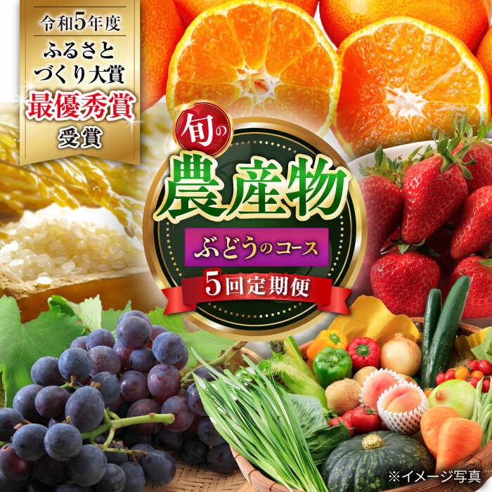 【ふるさと納税】【5回定期便】旬の農産物 ぶどうコース / 米 コメ こめ 野菜 やさい 果物 くだもの フルーツ ふるーつ 産地直送 ぶどう 葡萄 ブドウ フルーツ定期便 / 大村市 / おおむら夢ファームシュシュ[ACAA120]