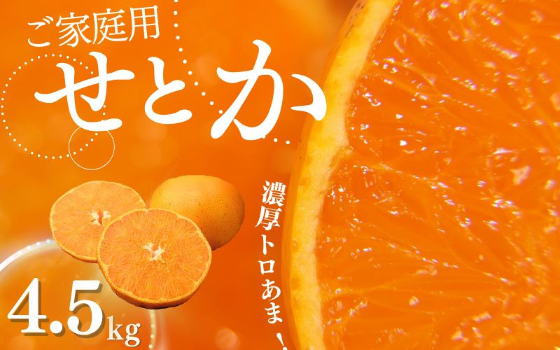 
                  【先行予約】ご家庭用 たにぐち農園のせとか 4.5kg 大小混合【2027年3月から4月上旬までに順次発送】 / 家庭用 ご家庭用 せとか みかん ミカン 蜜柑 柑橘 フルーツ 果物 くだもの 甘い 旬 人気 産地直送 農家直送 3月 4月

                