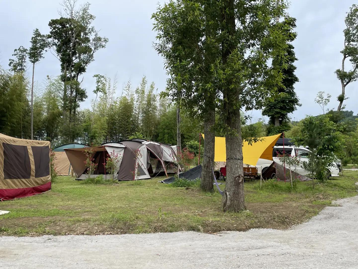 【 都心 から70分！】令和6年 新設 の キャンプ場 ★CAMP さくらの丘 利用券 【 30,000円 分】| キャンプ  宿泊 千葉県