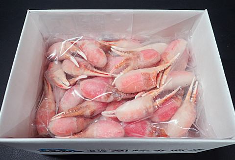 生食用本ズワイガニ爪ポーション800g A-14237