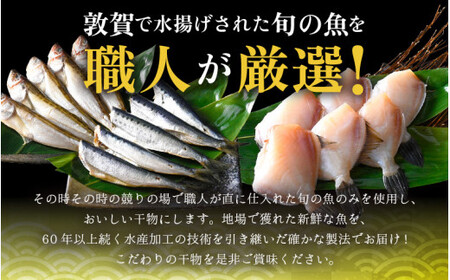 [051-a011] 干物 敦賀の「干物詰め合わせセット」【海鮮 おかず おまかせ 保存料不使用】
