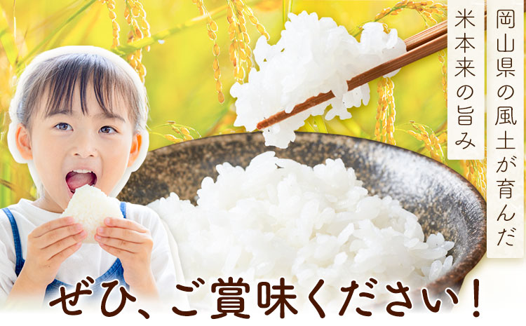 岡山県産 こしひかり 10kg(5kg×2袋) 精米 全農パールライス株式会社《30日以内に出荷予定(土日祝除く)》 岡山県 浅口市 送料無料 こめ 精米 コシヒカリ---124_3380_30d_2