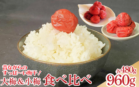 梅干セット 大梅 小梅 箱入り 各480g 《 2025年10月中旬 ～ 順次出荷 》 梅干し 梅干し 梅干し