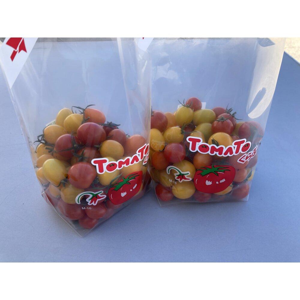 【ふるさと納税】長浜農業高校 ミニトマト 800g【5月・6月・10月発送選択可）】 | 野菜 やさい 食品 人気 おすすめ 送料無料