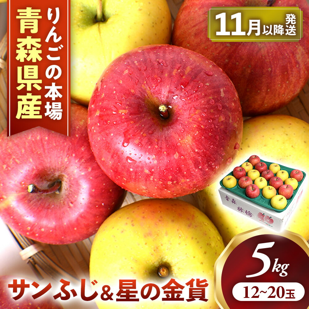 【ふるさと納税】【2026年産・先行予約】青森りんご【サンふじ＆星の金貨】セット 約5kg（12〜20玉）★2026年11月中旬〜12月中旬頃まで発送予定★りんご 林檎 リンゴ 果物 フルーツ 国産 贈答 土産 青森県 三戸町