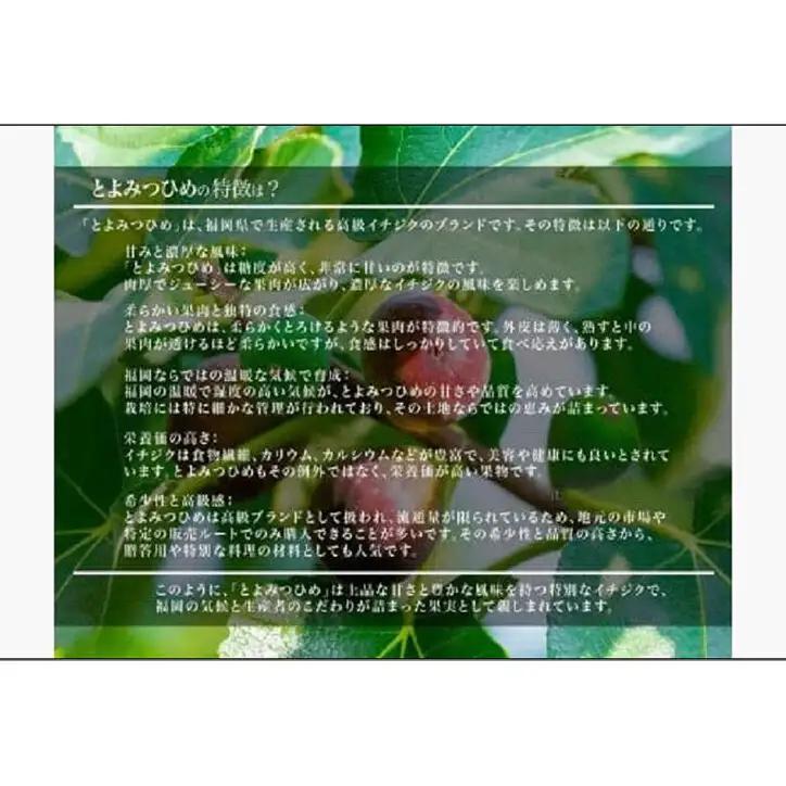 ＜2026年8月以降発送＞とよみつひめ ４パック約1200gセット（福岡市） | フルーツ 果物 くだもの 食品 人気 おすすめ 送料無料