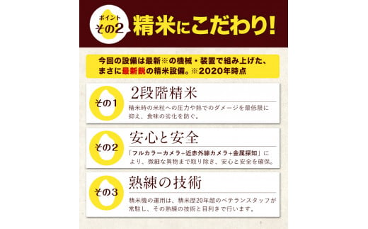 令和5年産 ひのひかり 白米 10kg 《7-14営業日以内に出荷予定(土日祝除く)》 5kg×2袋 熊本県産 米 精米 ひの 熊本県 ---gkt_hn5_wx_24_15500_10kg_h---